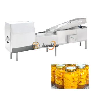 Peach Slicing Machine