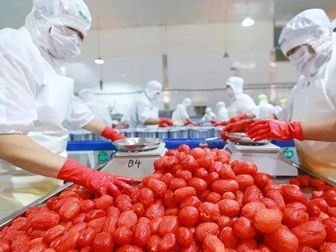 Canned Tomato Production Line