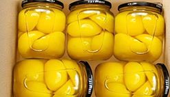 Canned Peaches