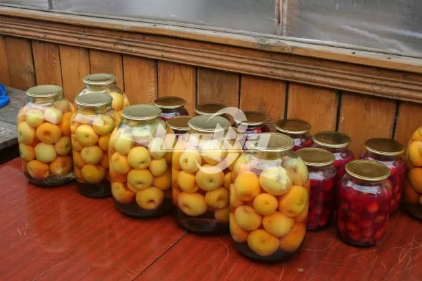 Ultimate Guide to Canned Fruit Production Line: Machines, Features, and Benefits