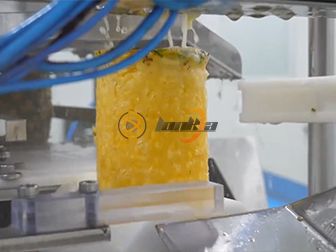 Pineapple Canning Production Line