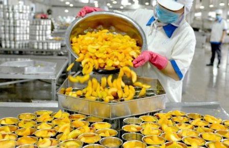Peach Canning Production Line