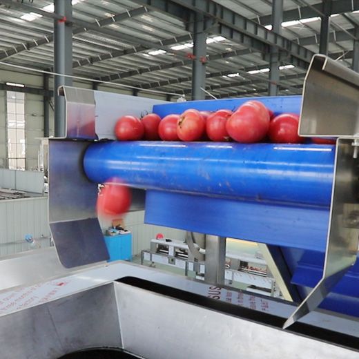 Steam Peeling Machine