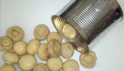 Canned Mushrooms