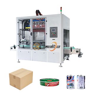 Carton Packing System