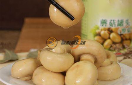 Canned Mushroom Production Line