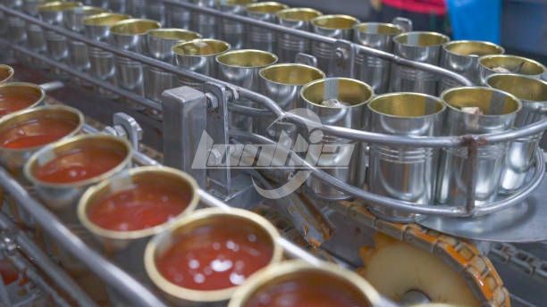 Canned Fruit Production Line