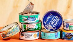 Canned Fish