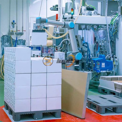 Can Palletizer/Depalletizer Machine