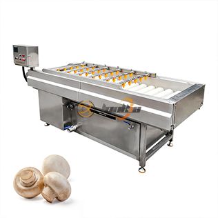 Roller Brush Washing Machine