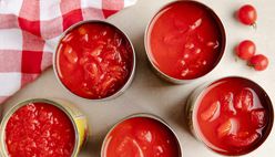 Tinned Tomatoes