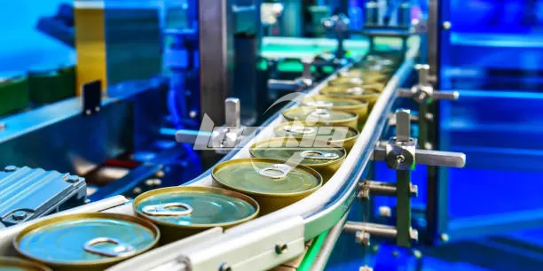Sardine Canning Factory