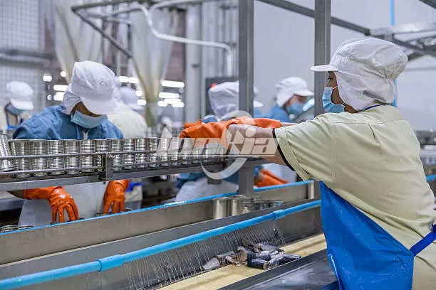 Sardines Canning Line