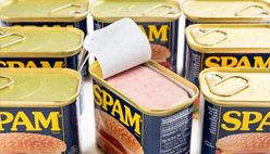 Canned Luncheon Meat