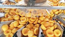 Canned Peaches