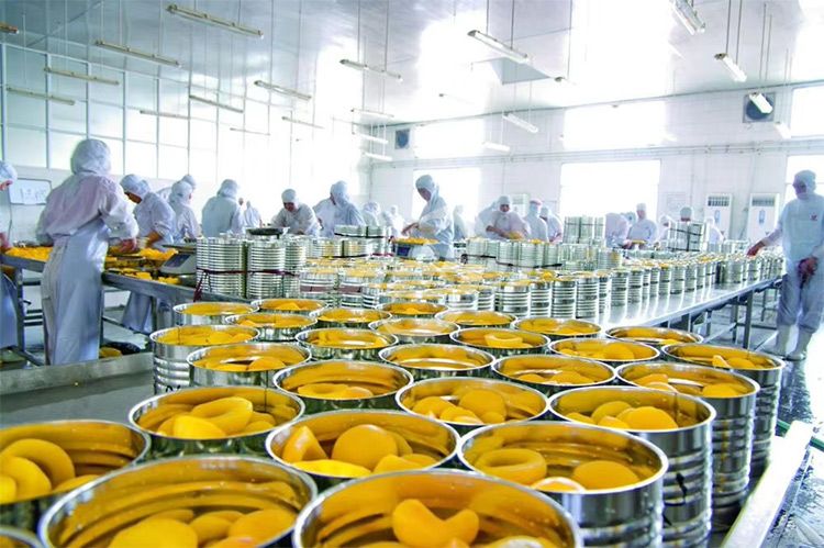 How a Vegetable Canning Production Line Ensures Long Shelf Life