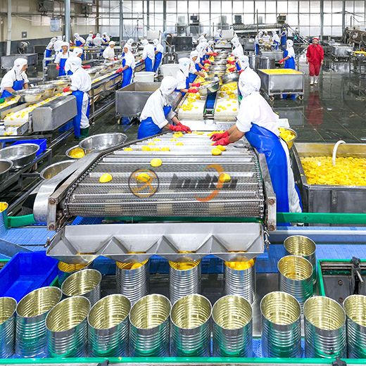 Peach Canning Production Line