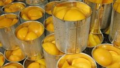 Canned Fruit