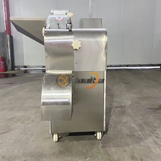 Fruit Vegetable Cutter