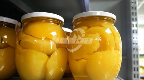 Automated vs Semi-Automated Fruit Canning Production Line: Which Is Better?